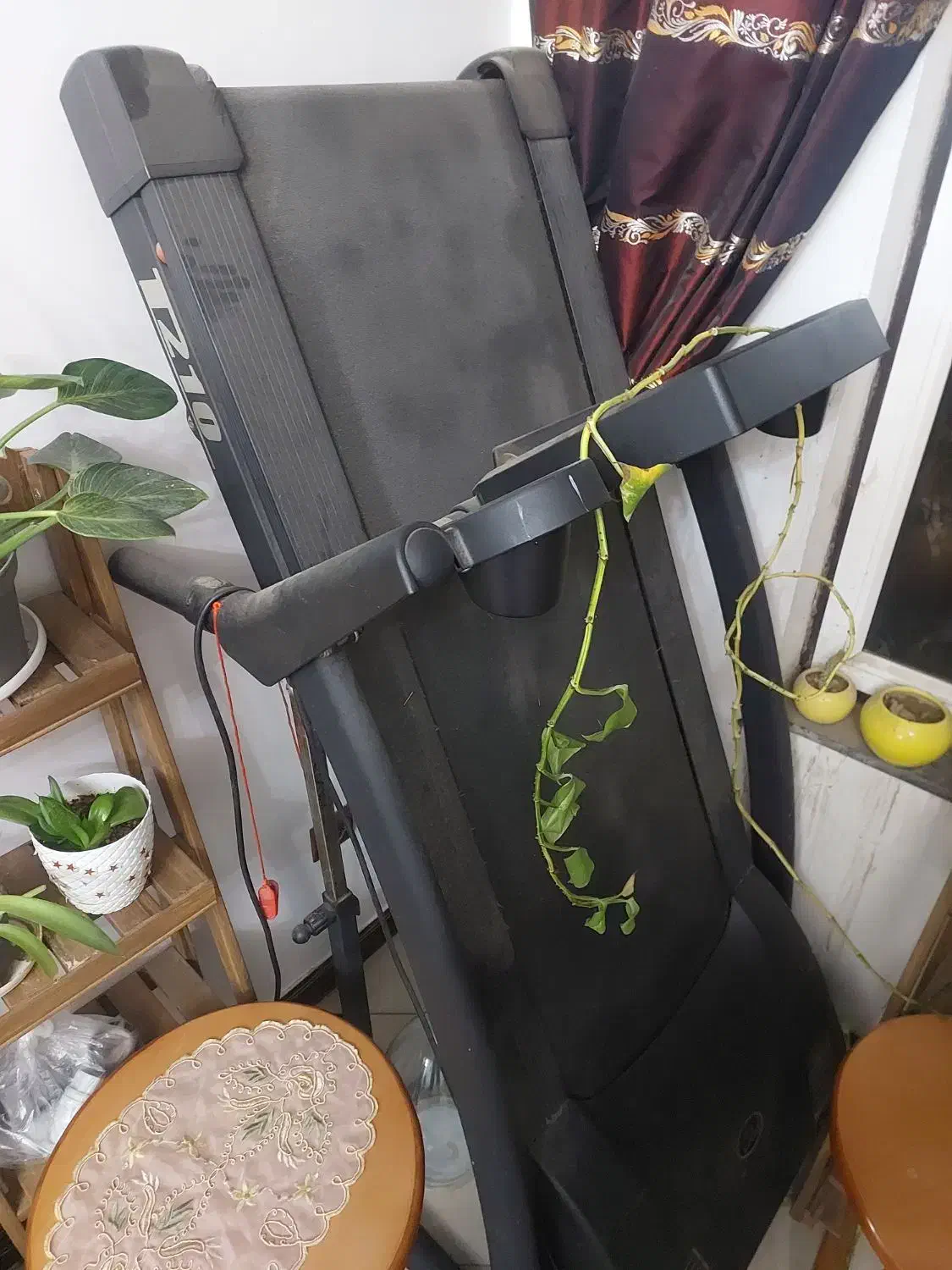 تردمیل تی ۲۱۰|تجهیزات ورزشی|جیرفت, |دیوار