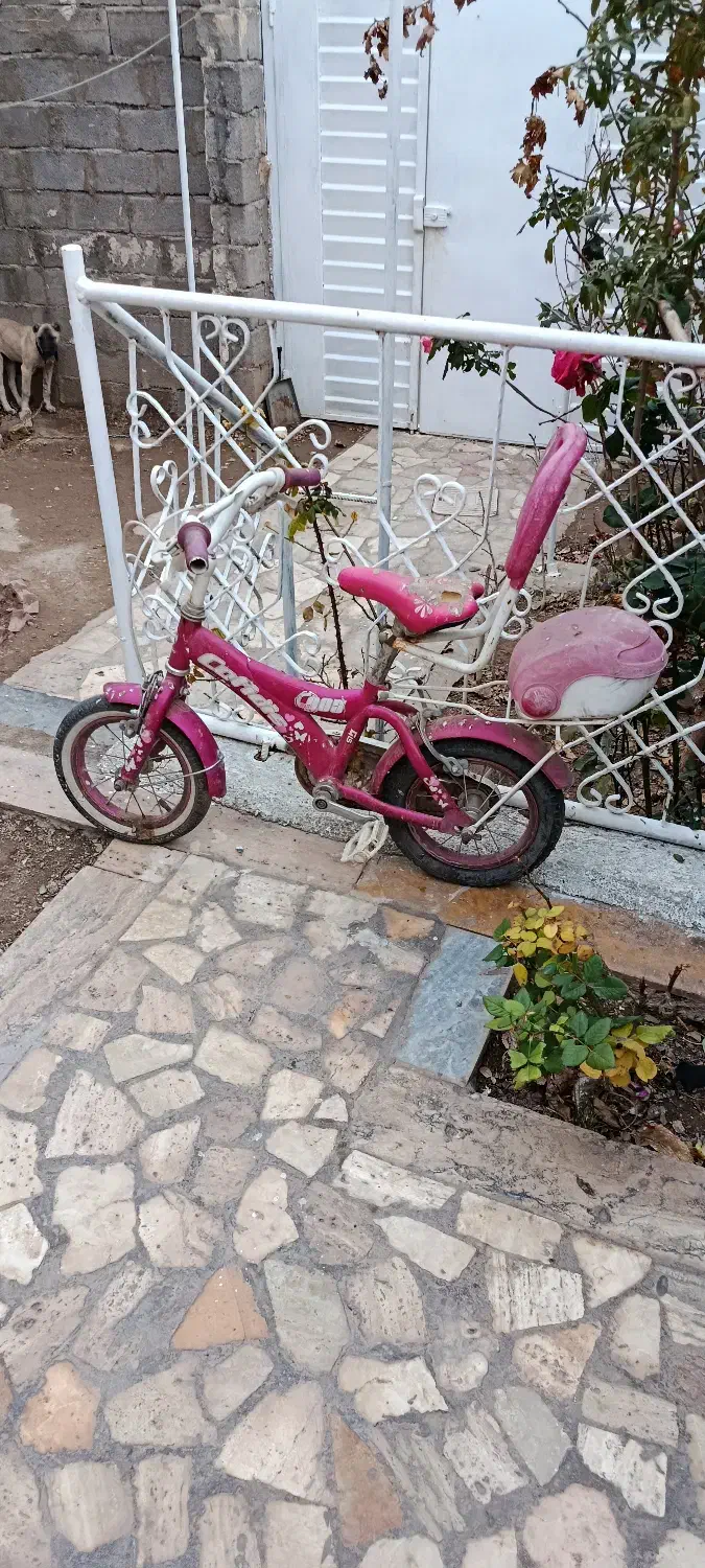 دوچرخه|دوچرخه، اسکیت، اسکوتر|شوط, |دیوار