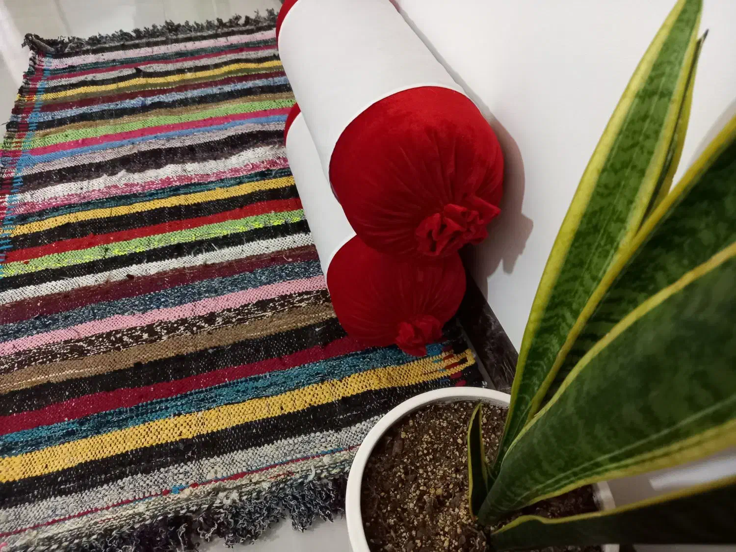 پادری محلی،سنتی،پلاس|پادری|مشهد, وکیل‌آباد|دیوار