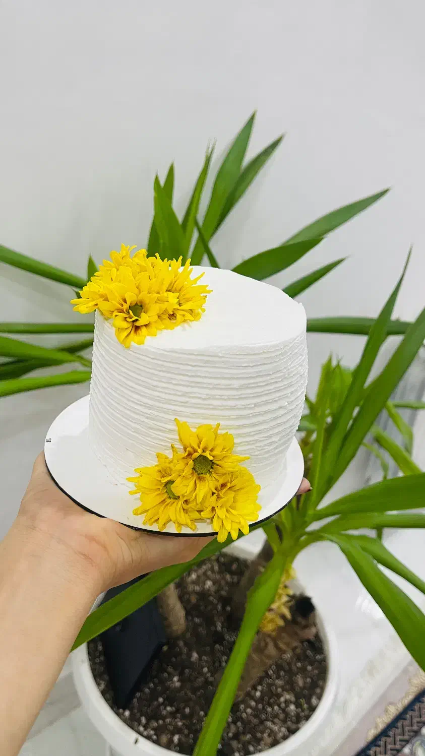 کیک خامه ای فوندانتی|خدمات پذیرایی، مراسم|اهواز, کوی فاطمیه|دیوار