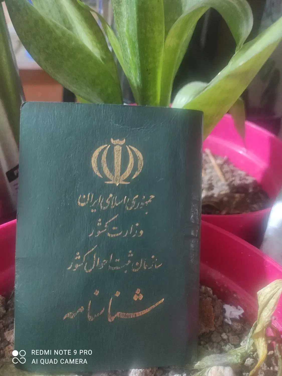 گم شدن مدارک|اشیا|بهبهان, |دیوار