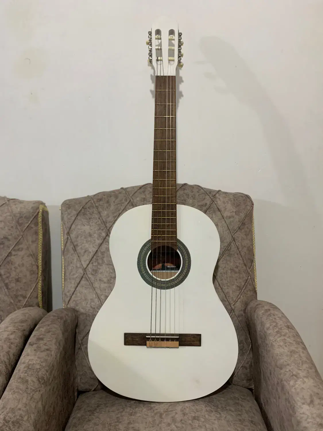 گیتار کلکسیونی|گیتار، بیس، امپلیفایر|آستانه اشرفیه, |دیوار