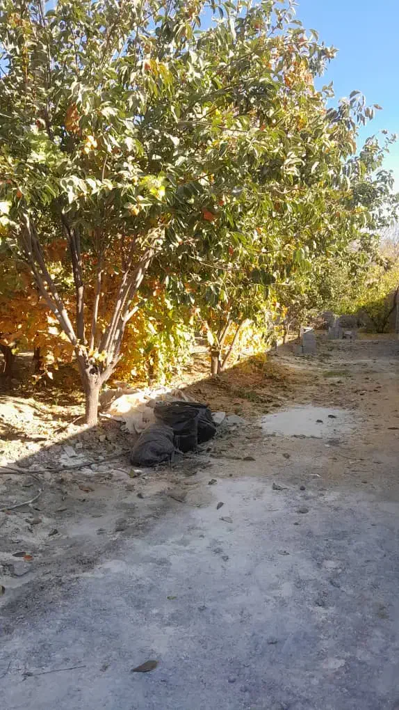 باغ 1000متر/دیوار/آب فراوان/فاروق|فروش زمین و ملک کلنگی|سیدان, |دیوار