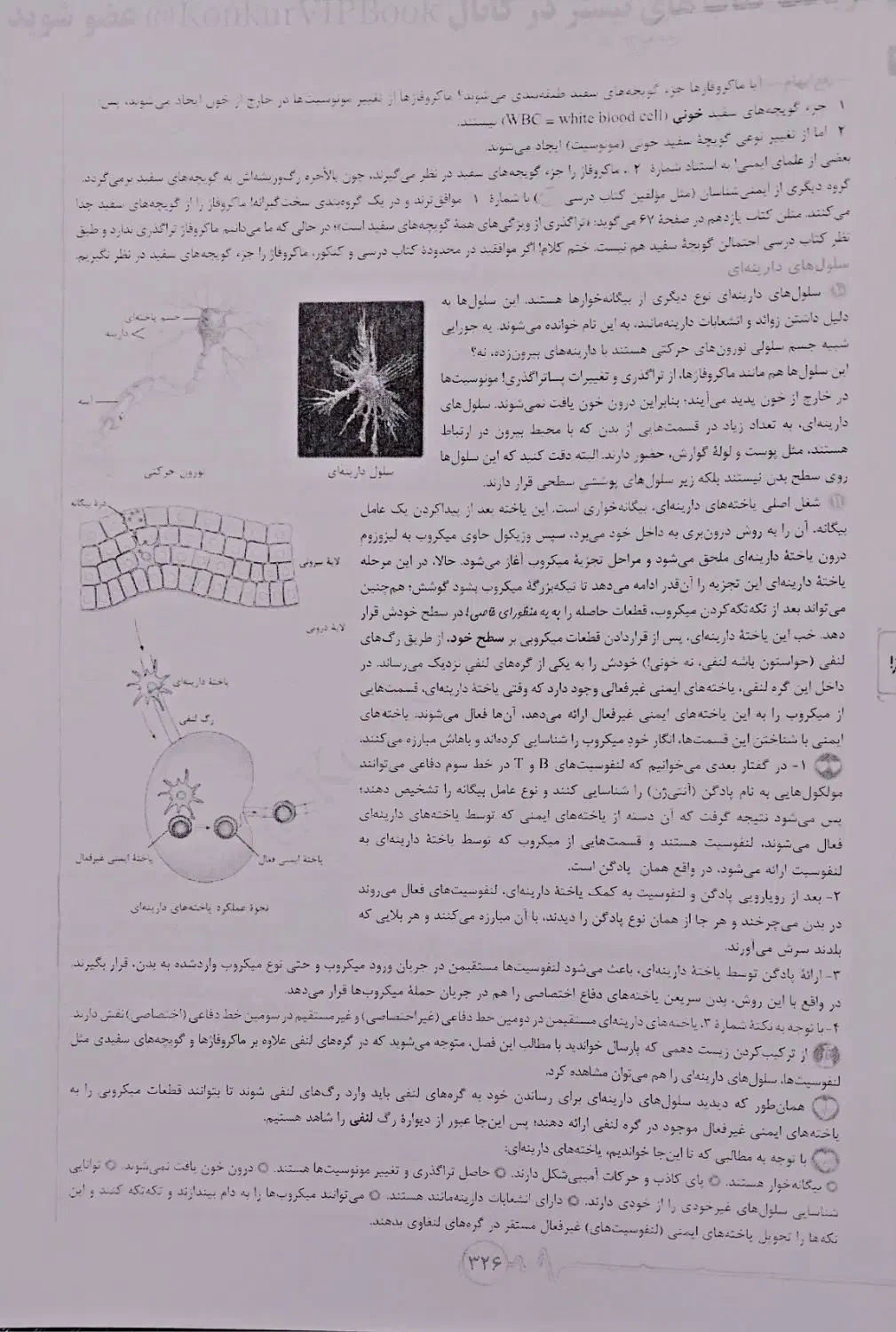 زیست و شیمی یازدهم خیلی سبز هردو فقط ۱۲۰ هزارتومان|کتاب و مجله آموزشی|قم, شاه ابراهیم|دیوار