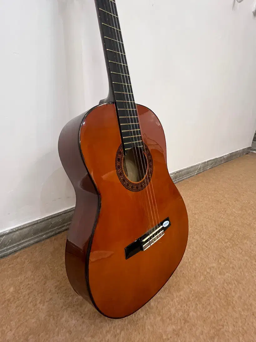 گیتار کلاسیک والنسیا گالری موسیقی آرتیاپاساژشهرسبز|گیتار، بیس، امپلیفایر|لاهیجان, انقلاب|دیوار