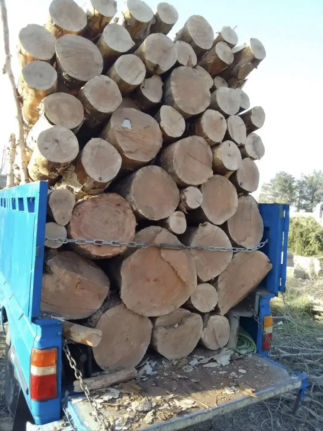 خریدتنه الوار قطعه حرفه ای درخت چوب داخل دربندبیشه|خدمات باغبانی و درختکاری|اراک, |دیوار