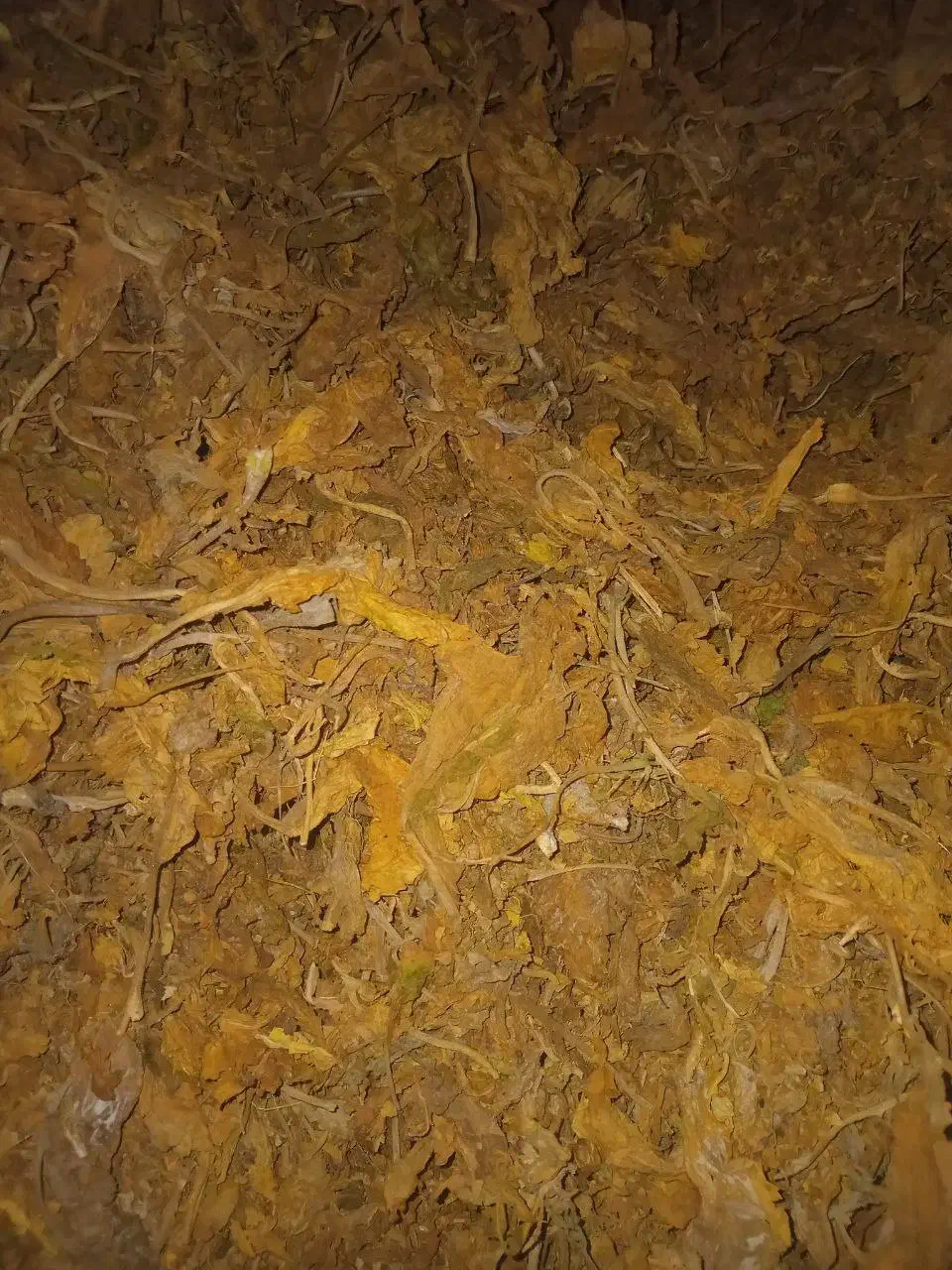 زغال( برگ و چوب تن با کو)|عمدهفروشی|اصفهان, رکن الدوله غربی|دیوار