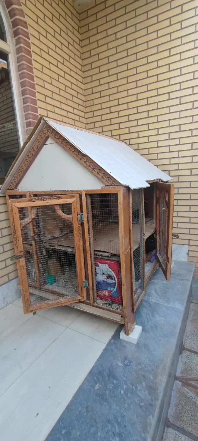 قفس|لوازم جانبی حیوانات|پیر بکران, |دیوار