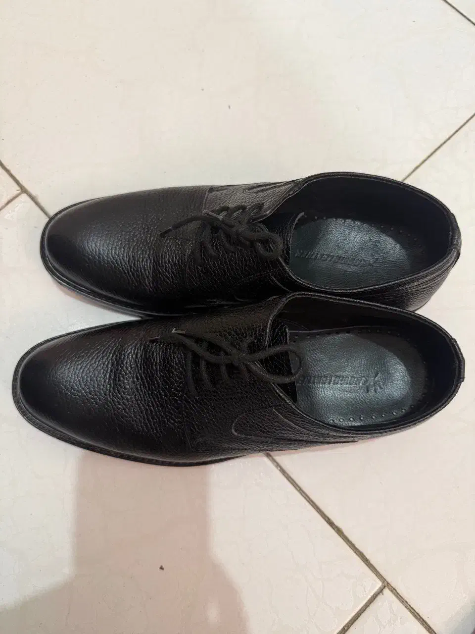 کفش|کیف، کفش، کمربند|کرج, عظیمیه|دیوار