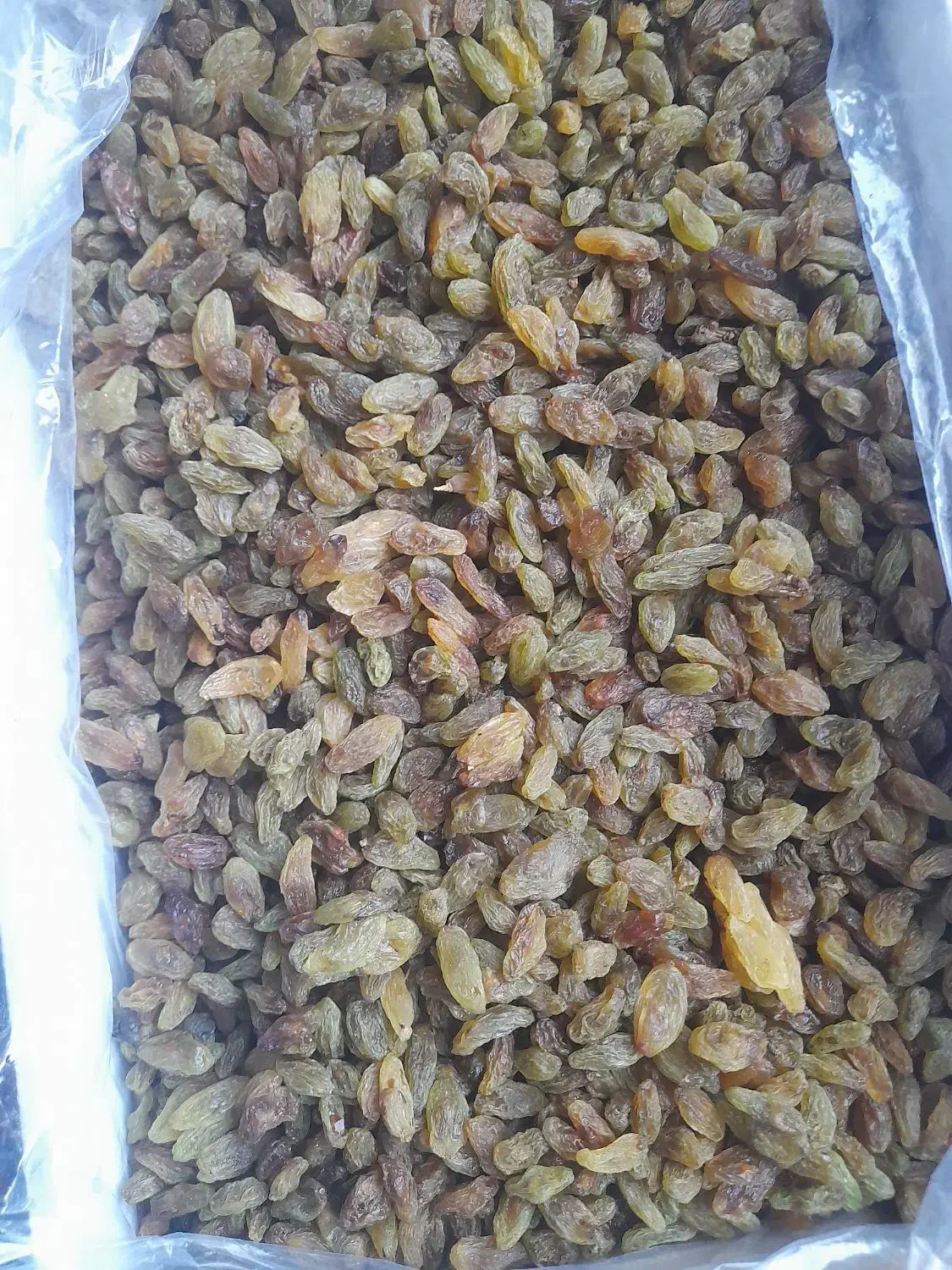 مویز بدون هسته وکشمش|خوردنی و آشامیدنی|بیرجند, |دیوار