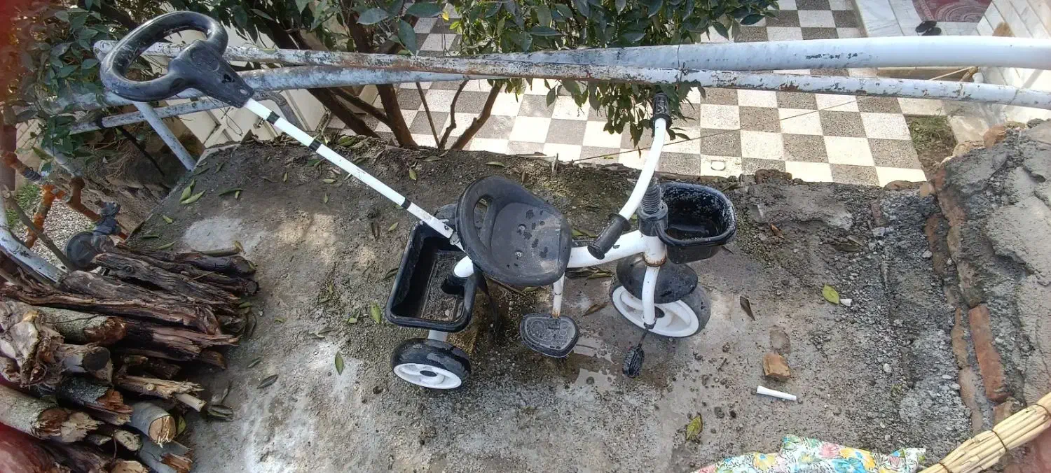 دوچرخه|دوچرخه، اسکیت، اسکوتر|گنبد کاووس, |دیوار