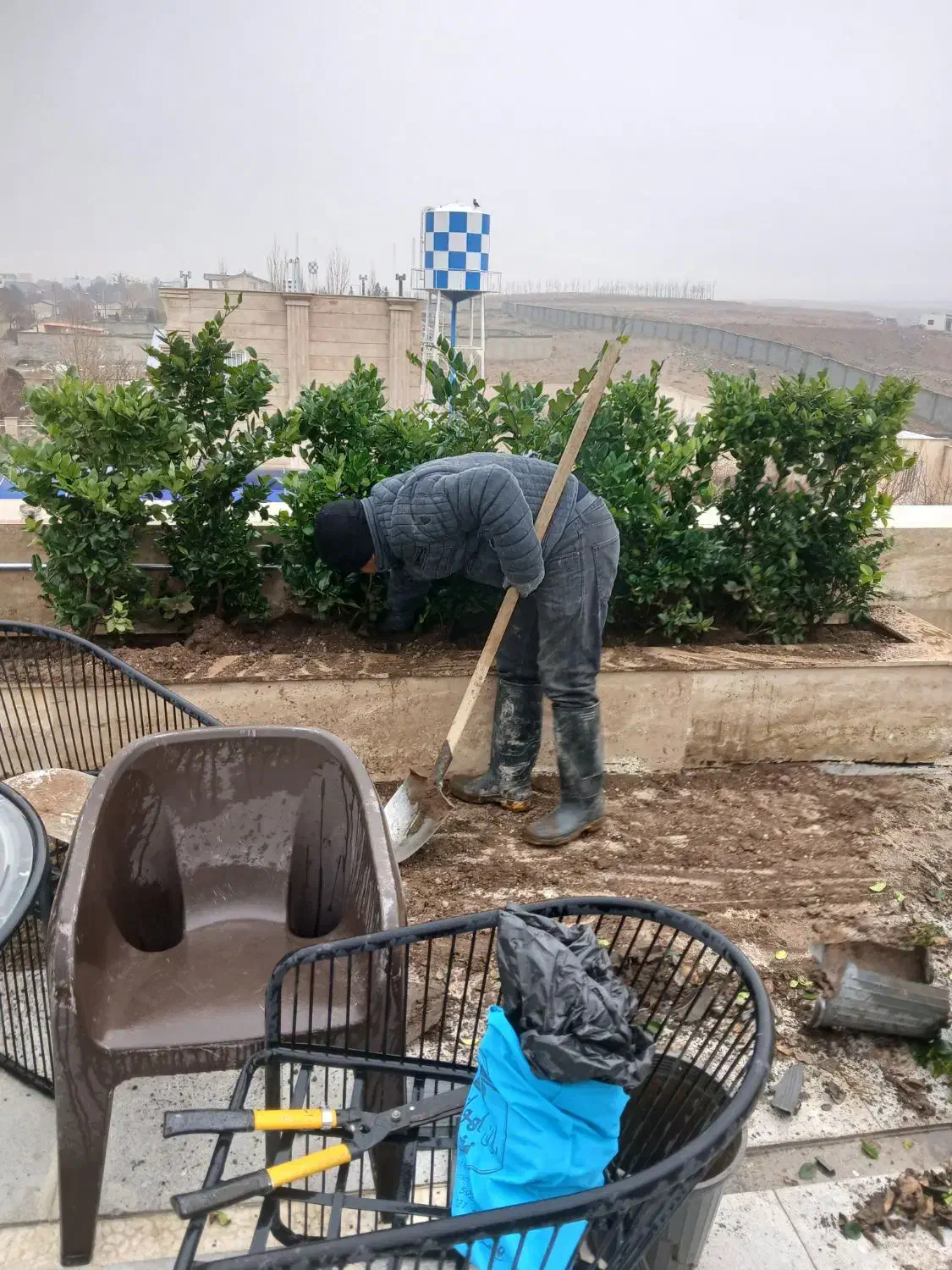 باغبانی|خدمات باغبانی و درختکاری|تهران, زیبادشت|دیوار