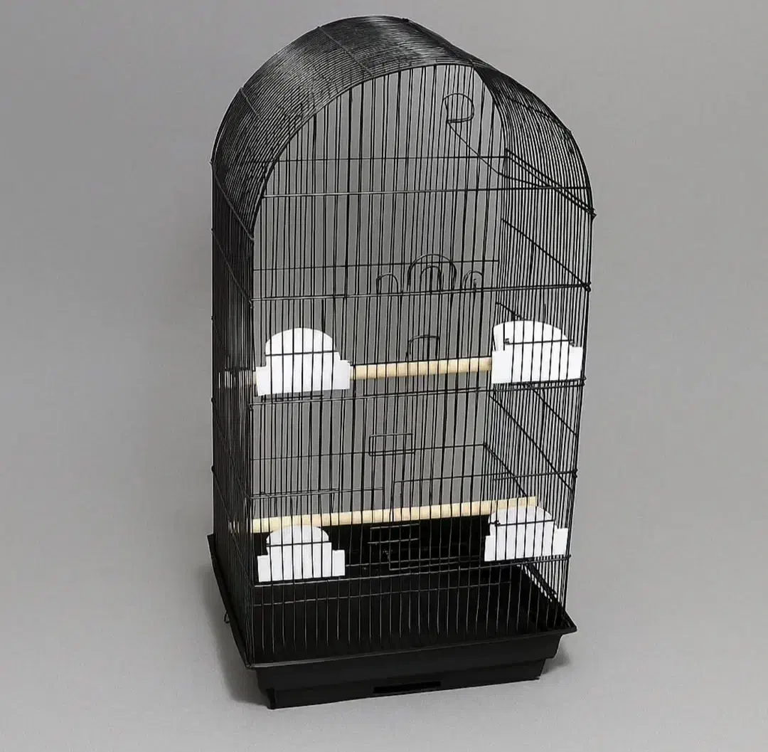 قفس بزرگ|پرنده|صدرا-فارس, فاز ۱|دیوار