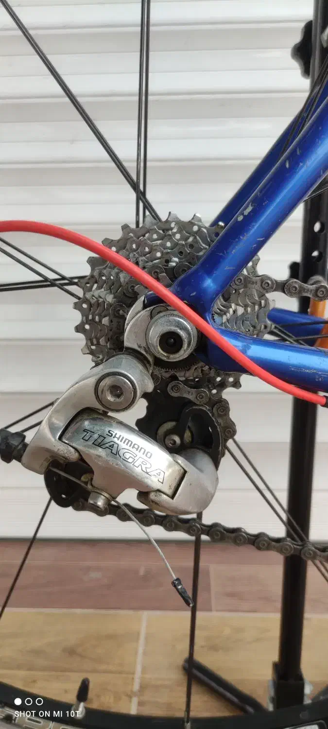 دوچرخه کورسی جاینت|دوچرخه، اسکیت، اسکوتر|لامرد, |دیوار