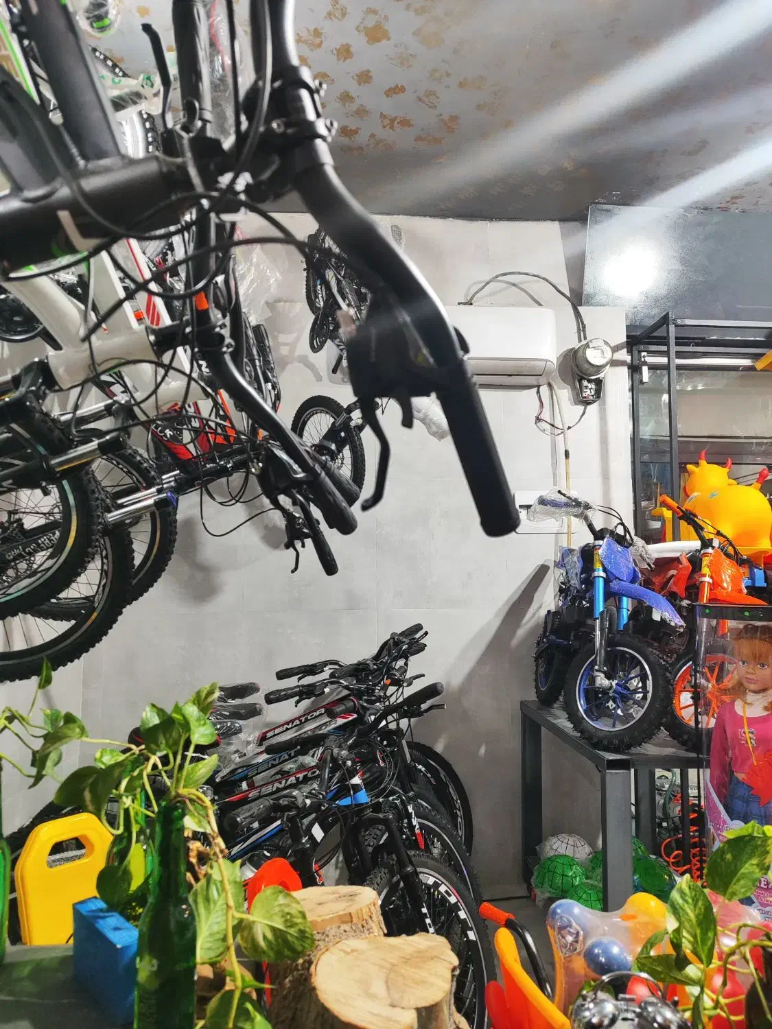 خانم زیر ۳۰ سال جهت کار در فروشگاه دوچرخه و اسکوتر|استخدام خدمات فروشگاه و رستوران|شاهین‌شهر, مخابرات (شهید بهشتی)|دیوار