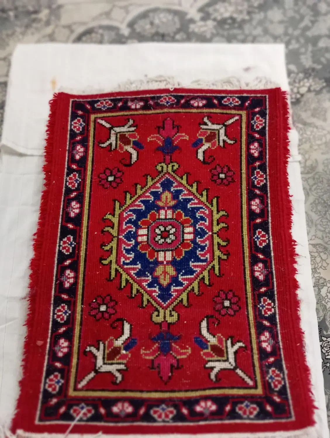 فرش پادری دستبافت|پادری|تبریز, |دیوار