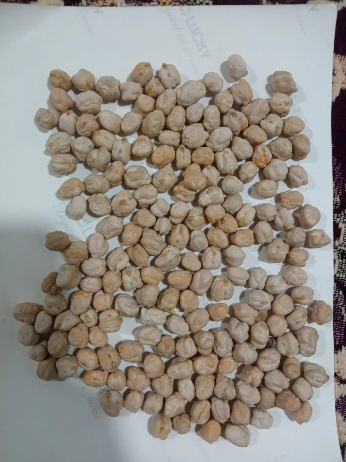 نخود|عمدهفروشی|دورود, |دیوار