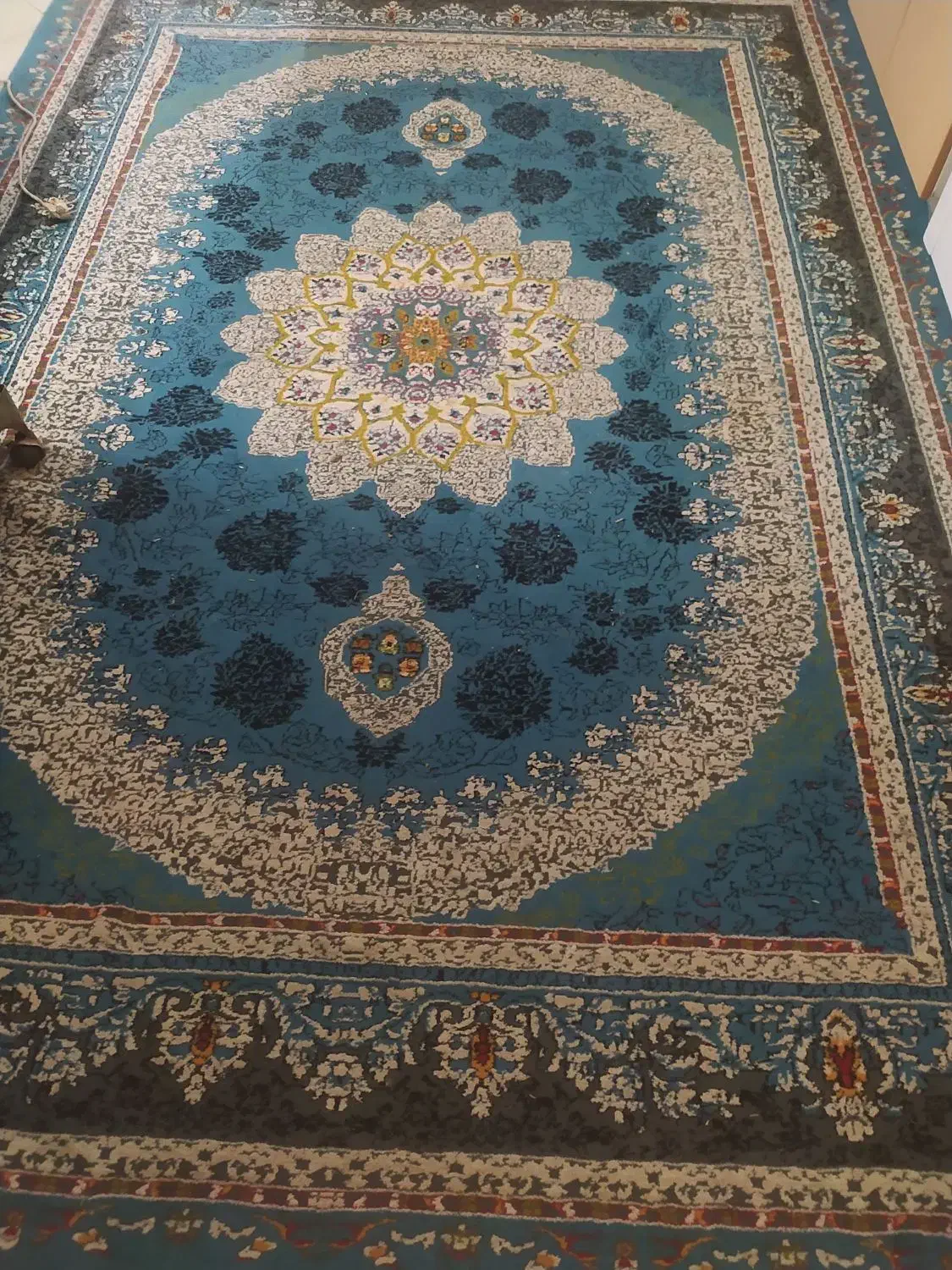 دوتا فرش شش متری|فرش|اصفهان, برازنده|دیوار