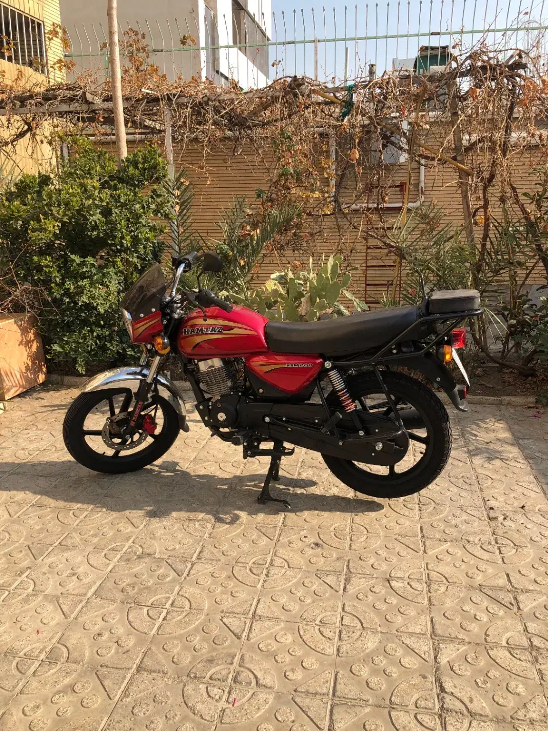 همتاز ۲۰۰ طرح باکسر در حد|موتورسیکلت|تهران, هفده شهریور|دیوار