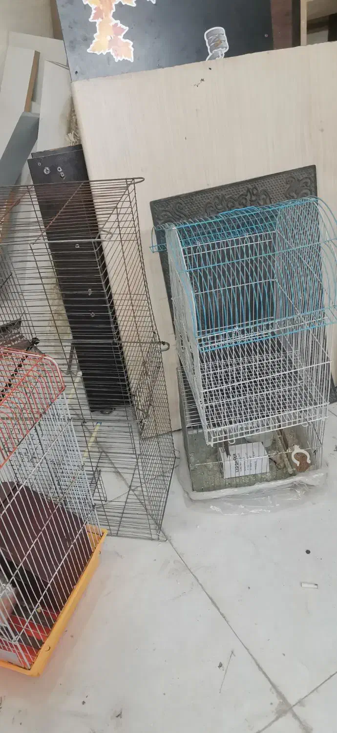 قفس|لوازم جانبی حیوانات|پرند, فاز ۶|دیوار