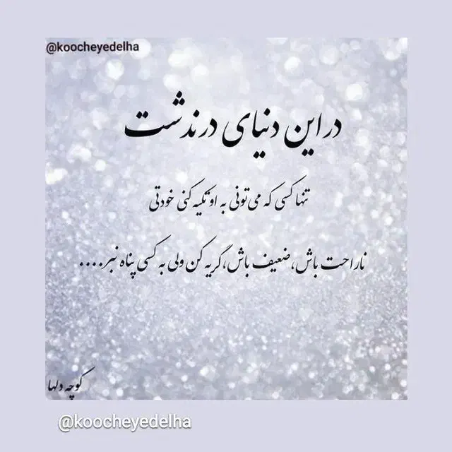 ادمین  تلگرام واینستاگرام حرفه آیی هستم|خدمات رایانه‌ای و موبایل|رشت, شهرک قدس|دیوار
