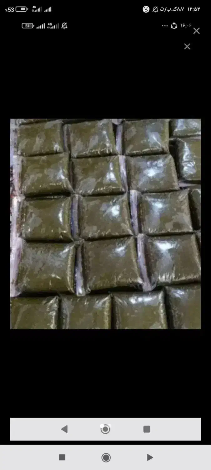 سبزی خورشتی|خوردنی و آشامیدنی|شاهین‌شهر, فردوسی|دیوار