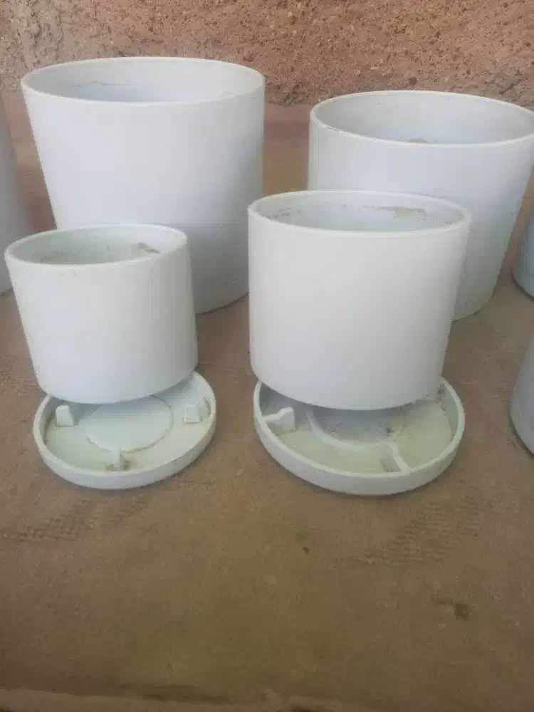 گلدون سرامیکی|گل و گیاه طبیعی|شیراز, جوادیه|دیوار