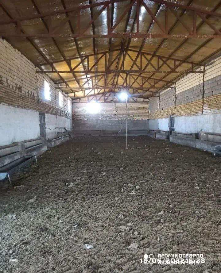 واگذاری سه سالن با قیمت استثنایی  مناسب هرکاری|اجارهٔ دفتر صنعتی، کشاورزی، تجاری|سامن, |دیوار