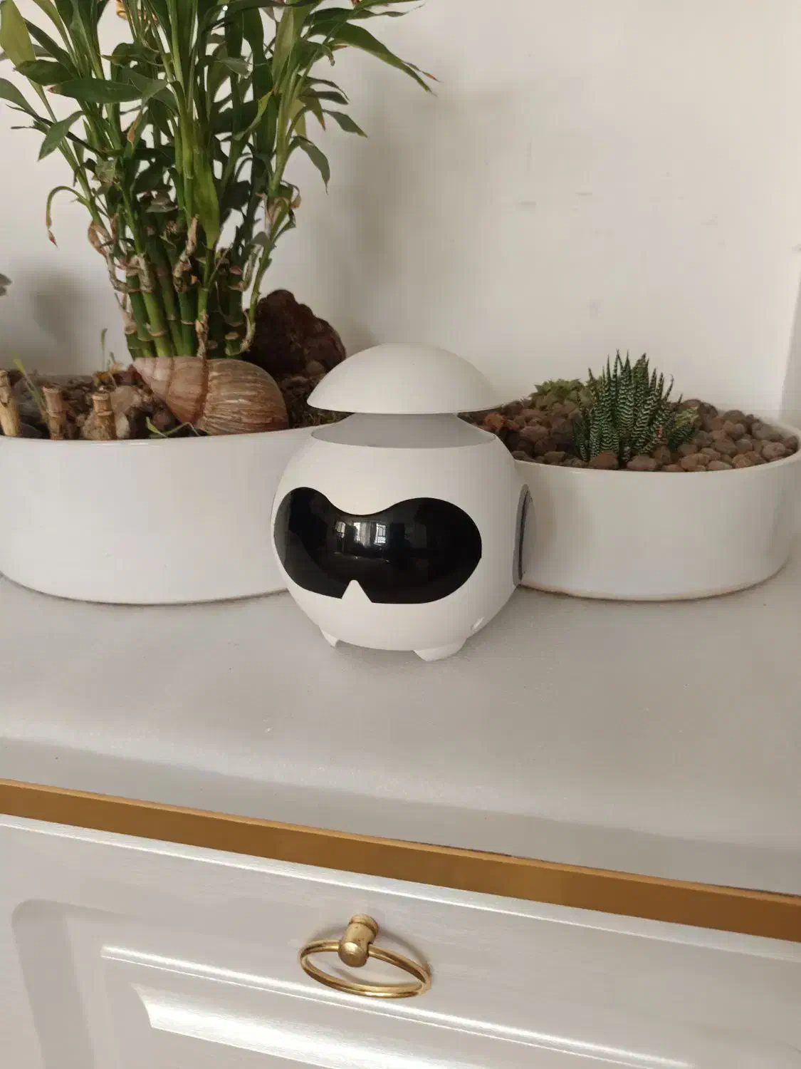 گجت ساعت|ساعت|قم, پردیسان|دیوار