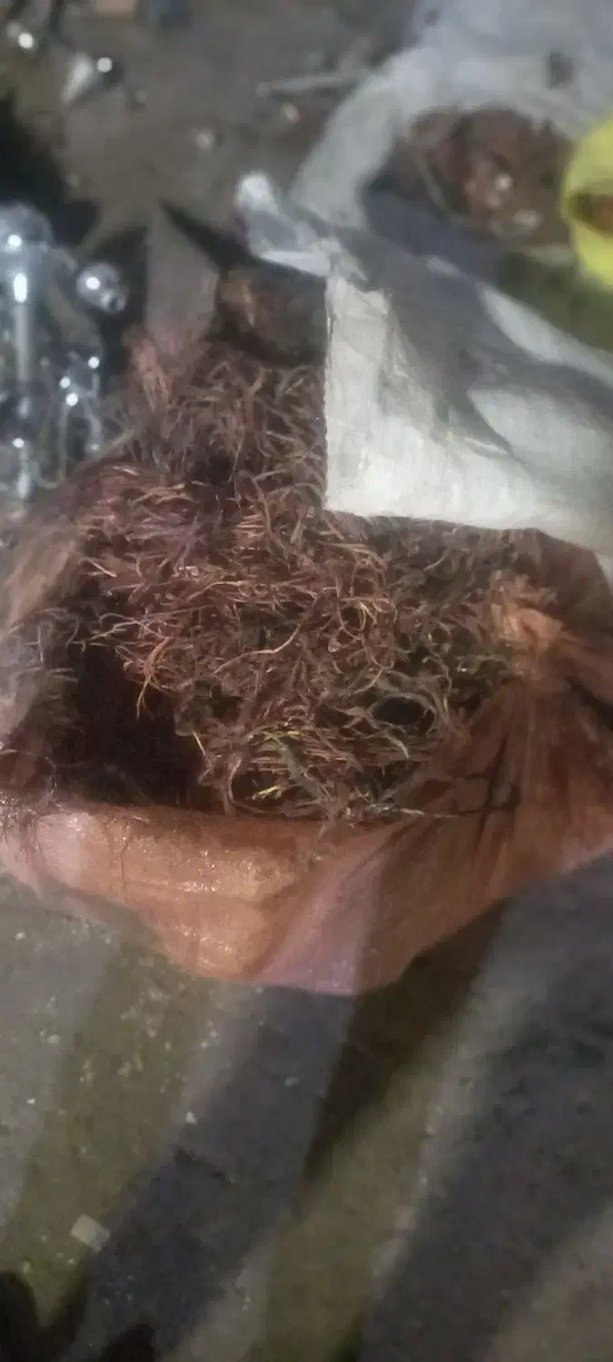 ضایعات اهن مس خشک|عمدهفروشی|شیراز, شهرک دارایی|دیوار