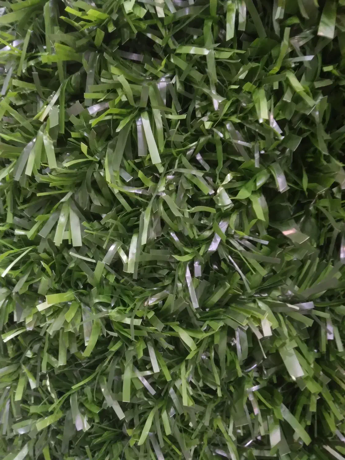 فنس چمنی|گل مصنوعی|شیراز, اصلاح‌نژاد|دیوار