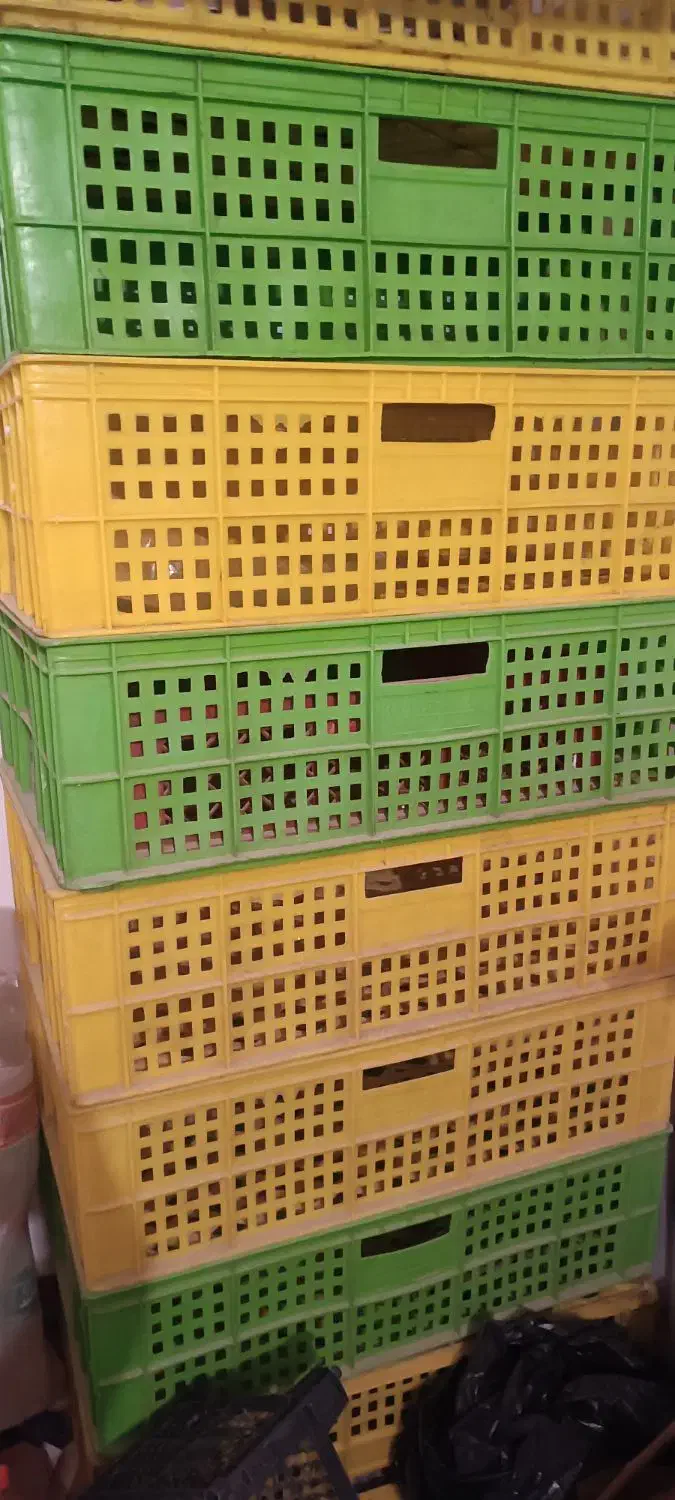 سبد اشپزخانه|ظروف نگهدارنده، پلاستیکی، یکبارمصرف|پاکدشت, پاکدشت (مامازند)|دیوار