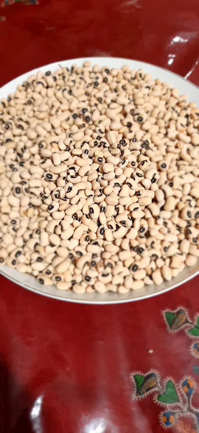 لوبیا چشم بلبلی درجه یک|خوردنی و آشامیدنی|خبر, |دیوار