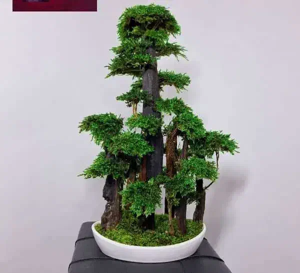 گل های مصنوعی|گل مصنوعی|ورامین, ورامین|دیوار