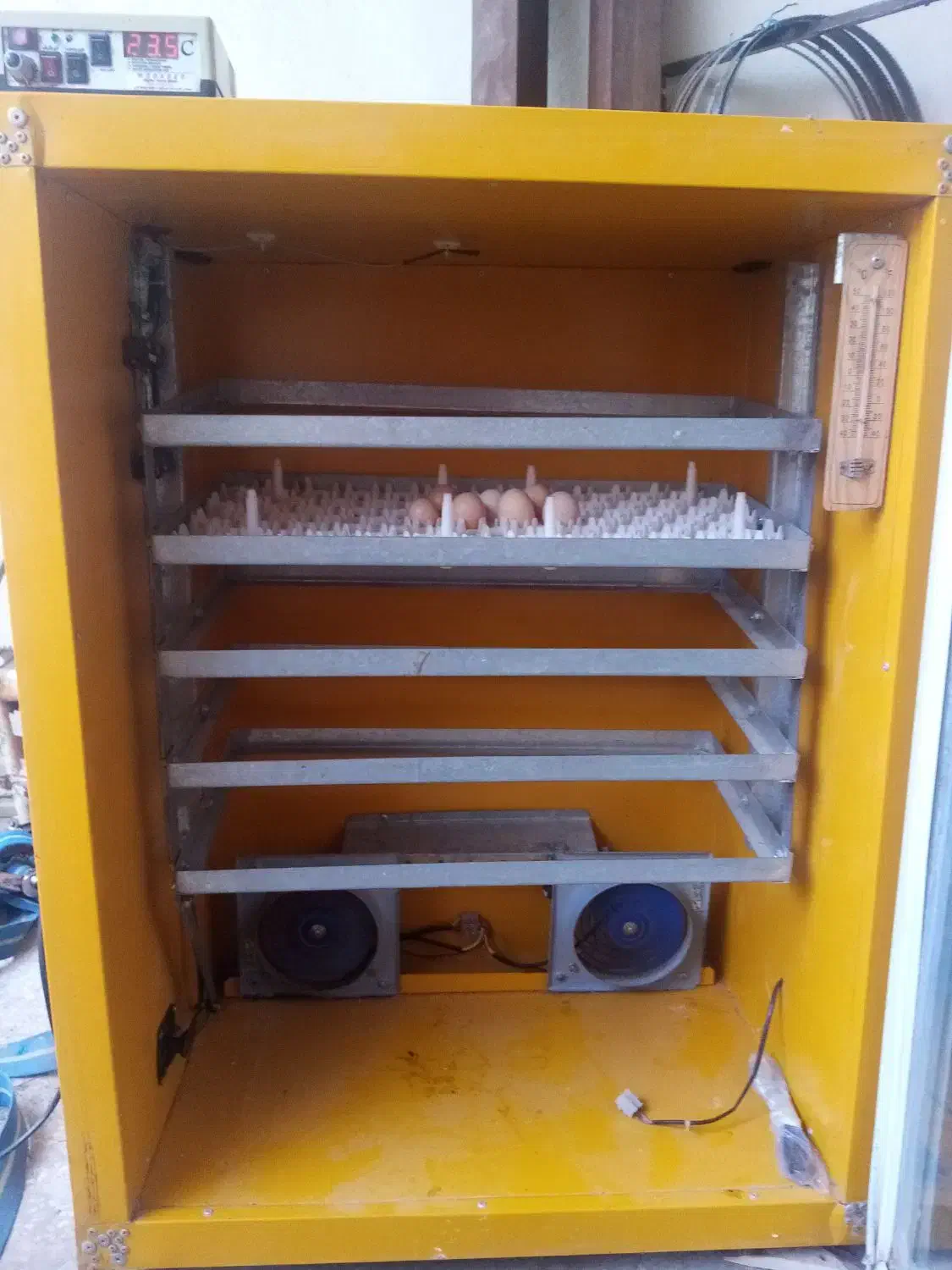 دستگاه جوجه کشی مدبر|لوازم جانبی حیوانات|قنوات, |دیوار