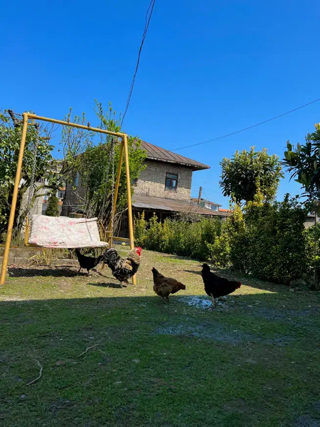 سویت تک خواب نزدیک ساحل|اجارهٔ کوتاهمدت آپارتمان و سوئیت|چابکسر, |دیوار