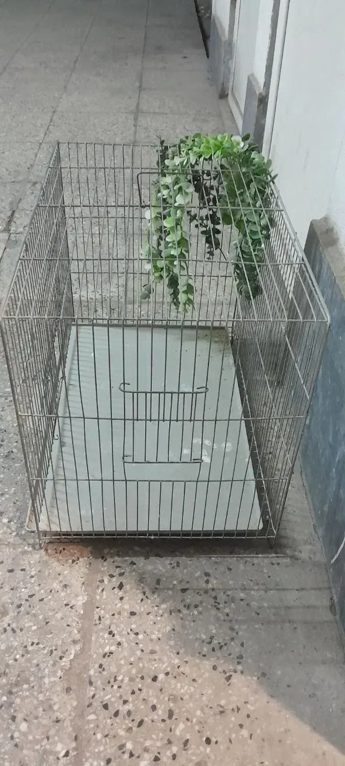 قفس بزرگ (جفت کن قناری) و قفس بزرگ طولی سانان|لوازم جانبی حیوانات|تهران, علم و صنعت|دیوار