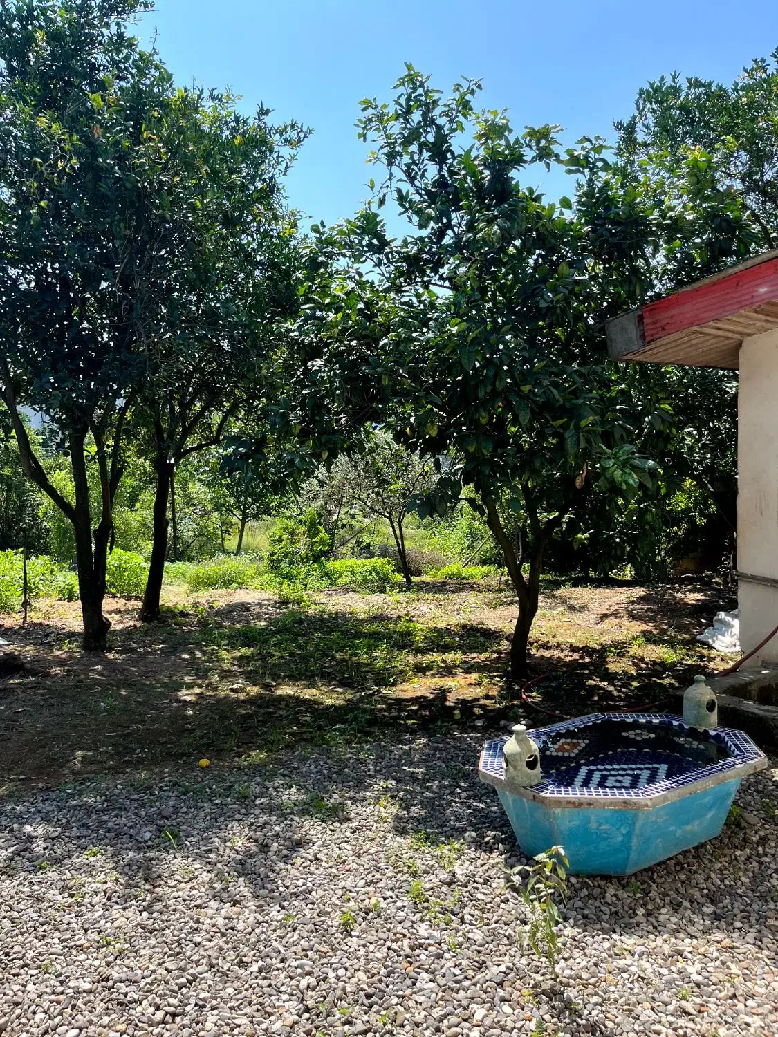 اجاره روزانه/هفتگی/ساعتی|اجارهٔ کوتاهمدت ویلا و باغ|نشتارود, |دیوار