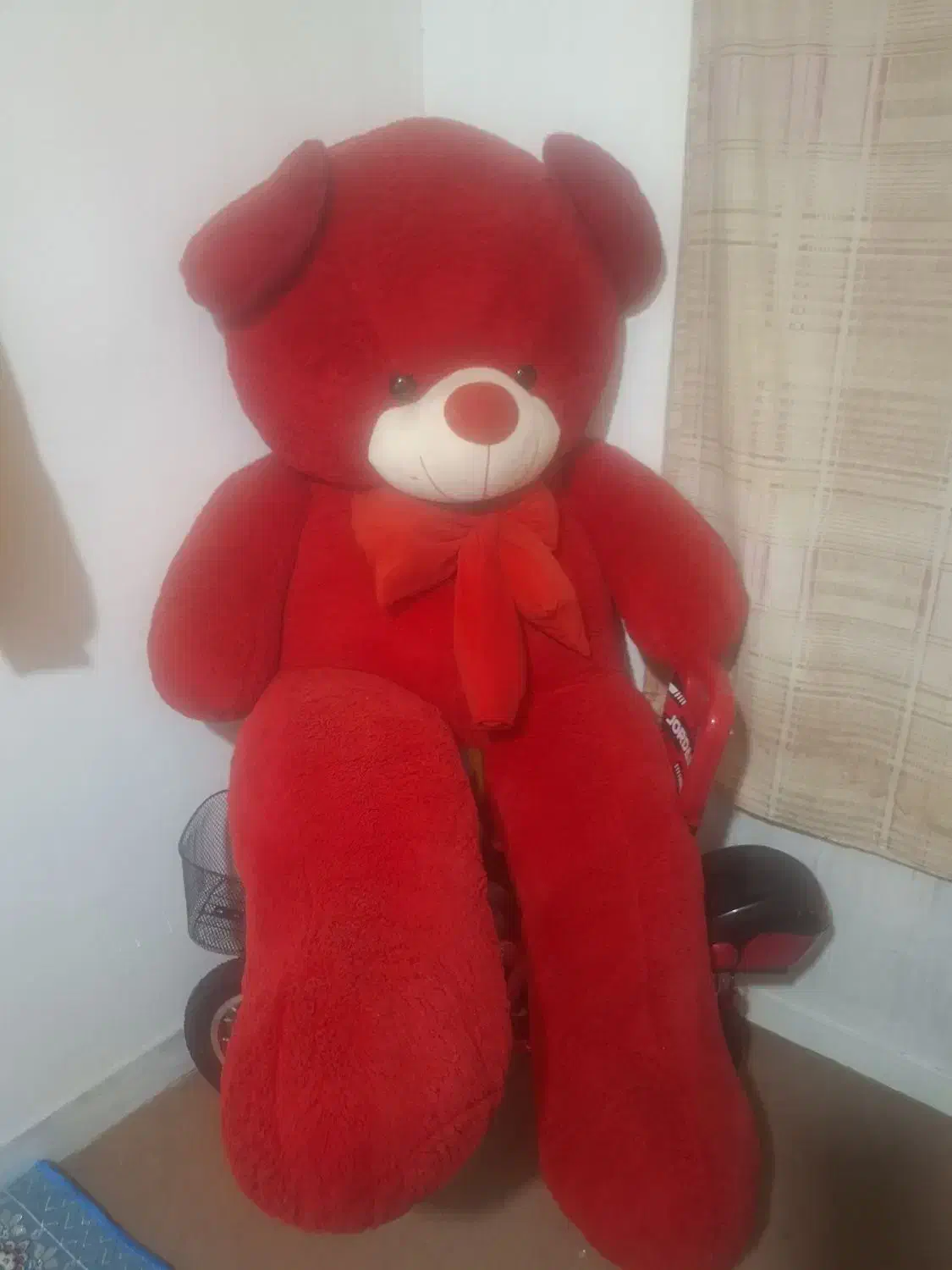 شاسخین فقط یک نیم|اسباب‌‌بازی|گنبد کاووس, |دیوار