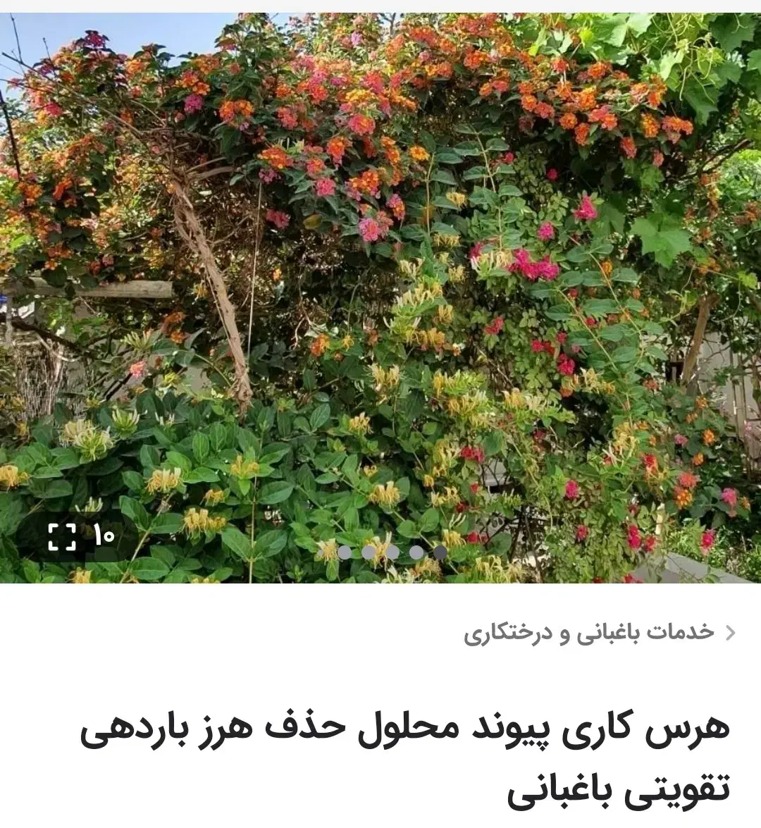 باغبانی محلول حذف هرز پیوند تقویتی ضد افت|خدمات باغبانی و درختکاری|زابل, |دیوار