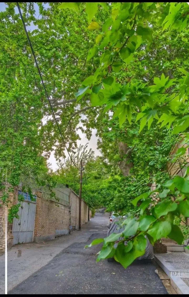 زمین شهرنیاسرکاشان/دوبر/ششدانگ پروانه ساخت/240 متر|فروش زمین و ملک کلنگی|کاشان, امیرکبیر|دیوار