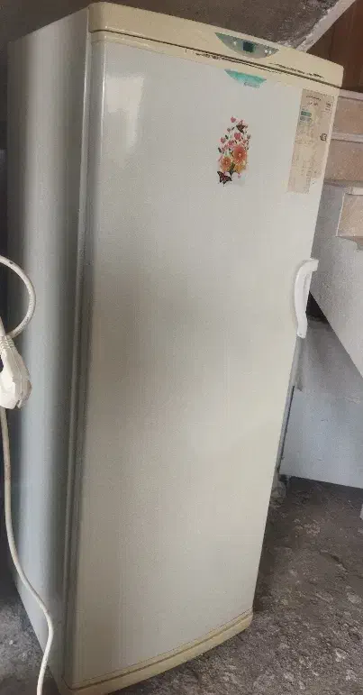 یخچال فروشی|فروشگاه و مغازه|مشگین شهر, |دیوار