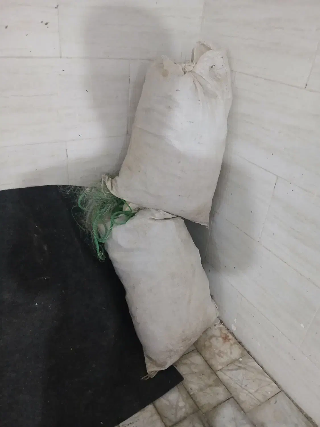 تور۱۵۰چشمه شانکی|ماهیگیری|بندر ماهشهر, |دیوار