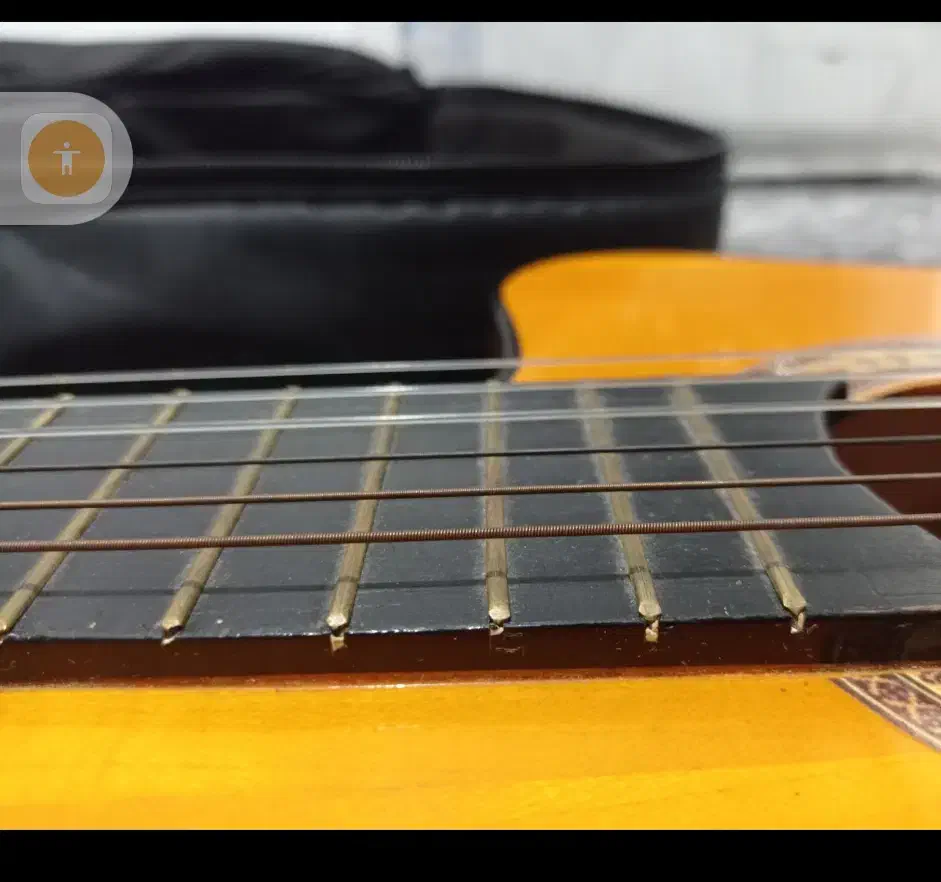 گیتار الوارز کره ای اصل|گیتار، بیس، امپلیفایر|بوشهر, |دیوار