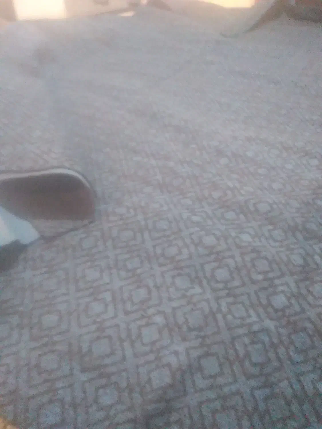 موکت یا زیر فرش|موکت|گرگان, |دیوار