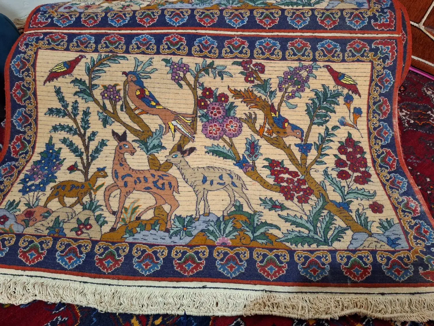 قالی دست بافت|فرش|بیرجند, |دیوار