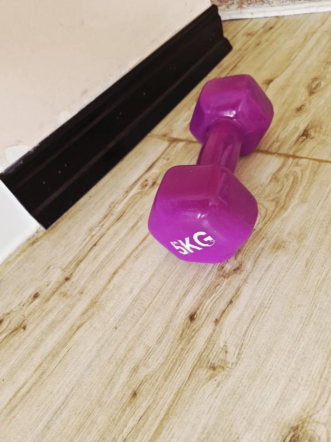 دمبل5kg|تجهیزات ورزشی|شهرکرد, |دیوار