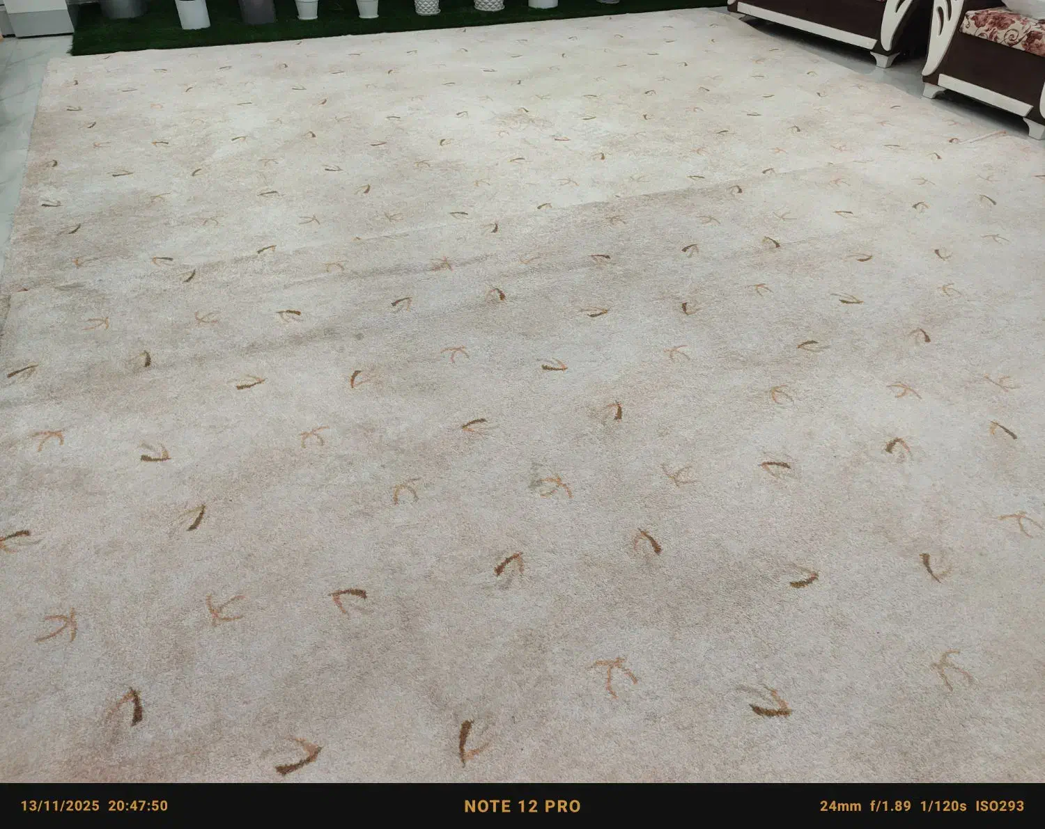 پالاز موکت|موکت|خشت, |دیوار