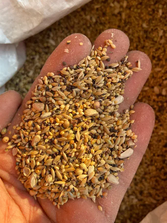 دان ویژه مرغ مینا ، کبوتر ، قناری ، مرغ عشق و طوطی|لوازم جانبی حیوانات|شهرضا, |دیوار