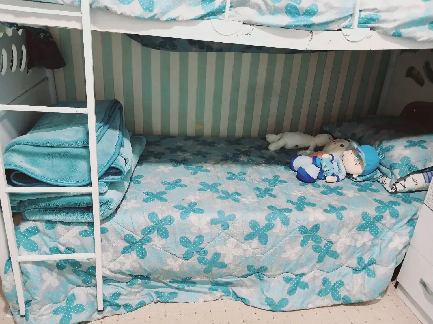 تختخواب دو طبقه همراه با تشک|تخت و سرویس خواب|دوگنبدان, |دیوار